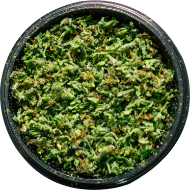 Donate & change a life today.